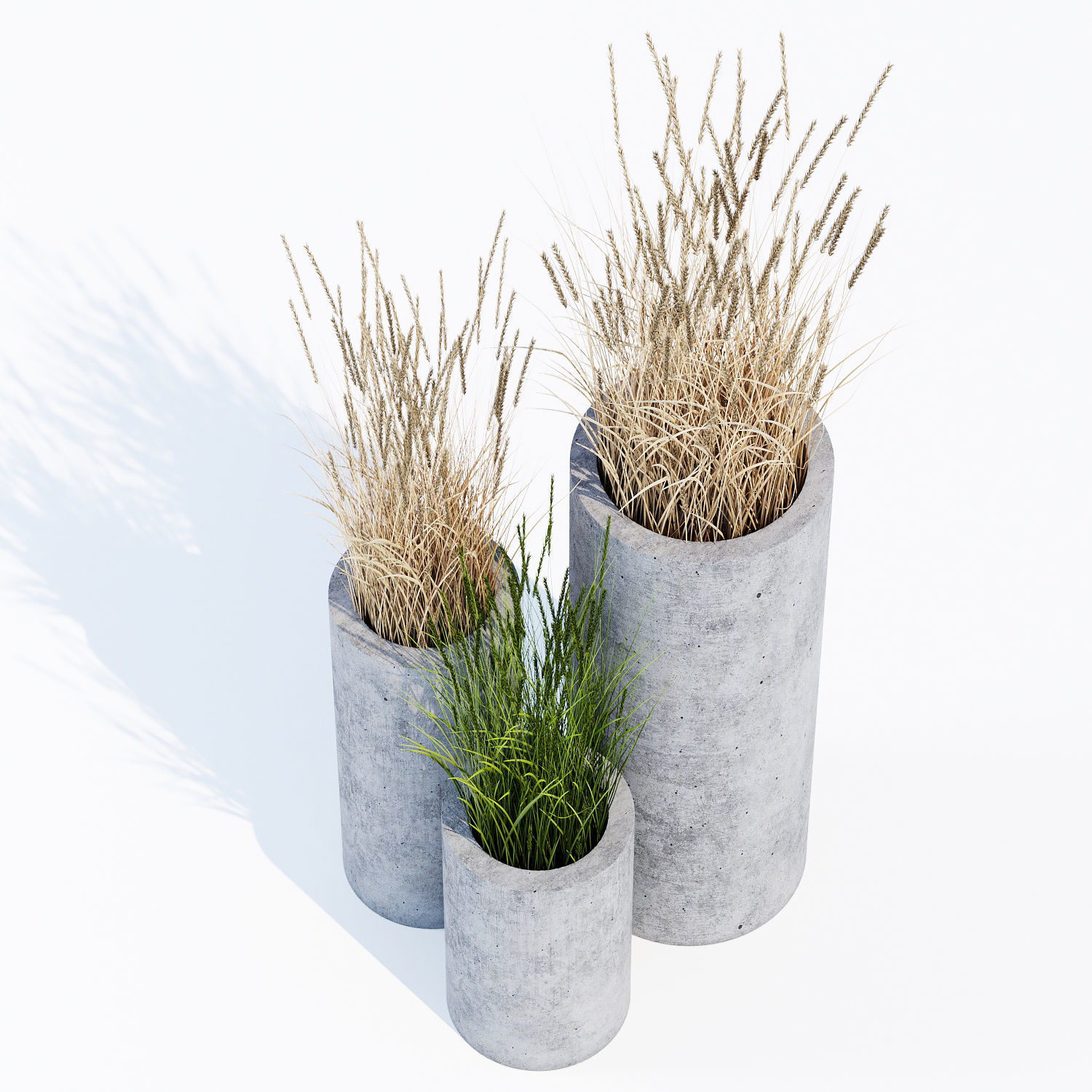 mone four 3D model_4