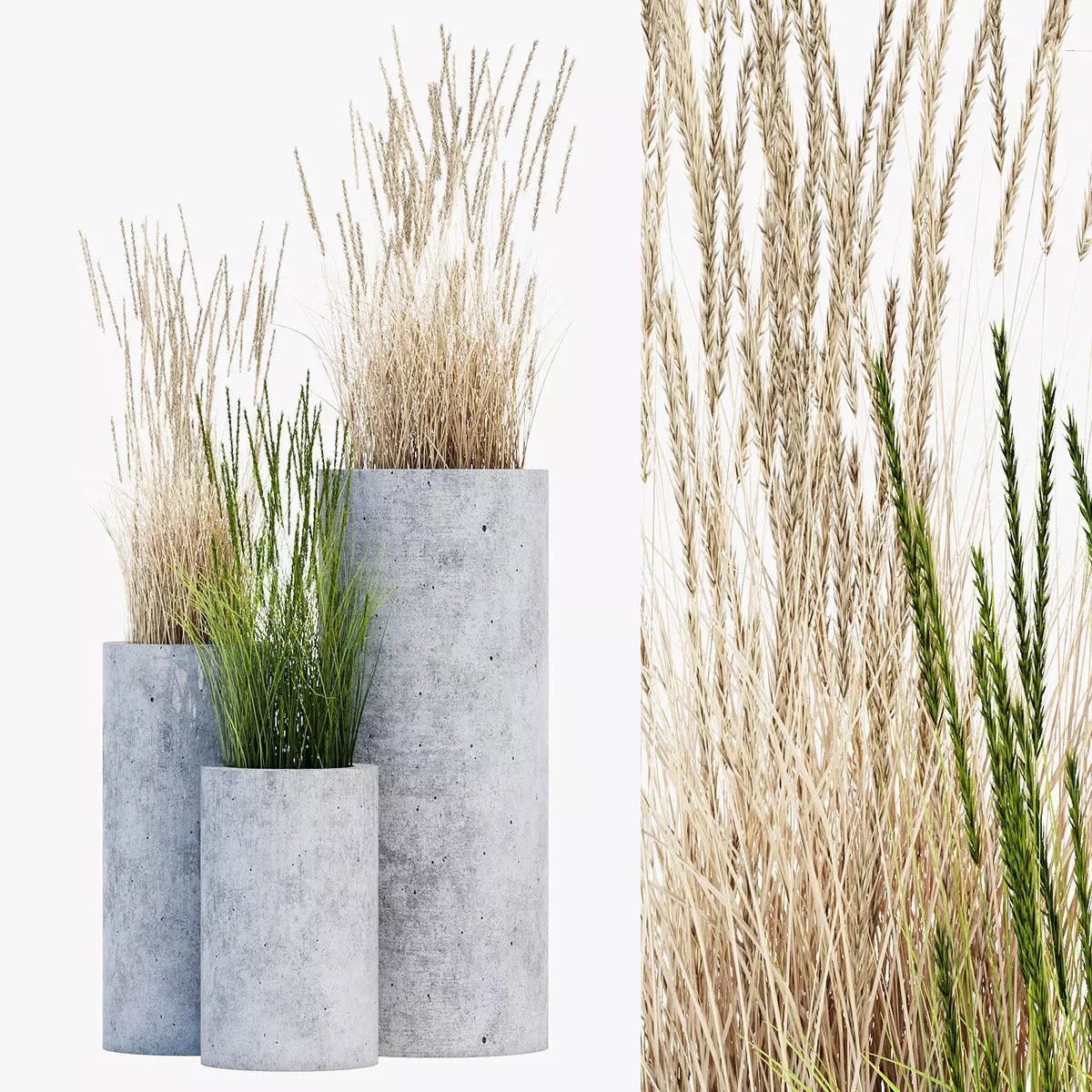 mone four 3D model_0