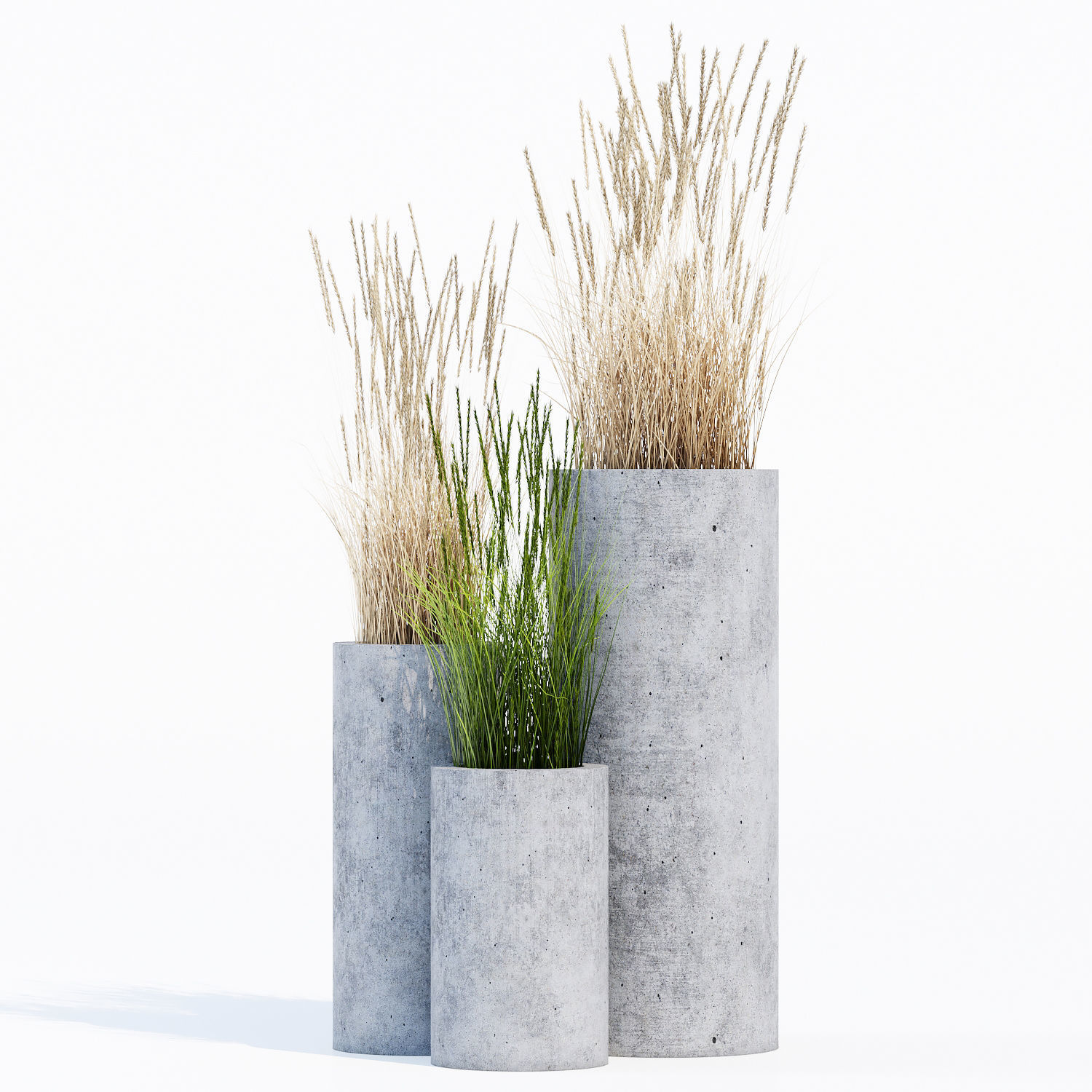 mone four 3D model_2