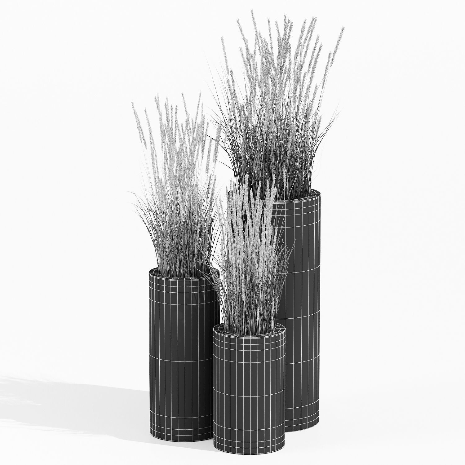 mone four 3D model_6