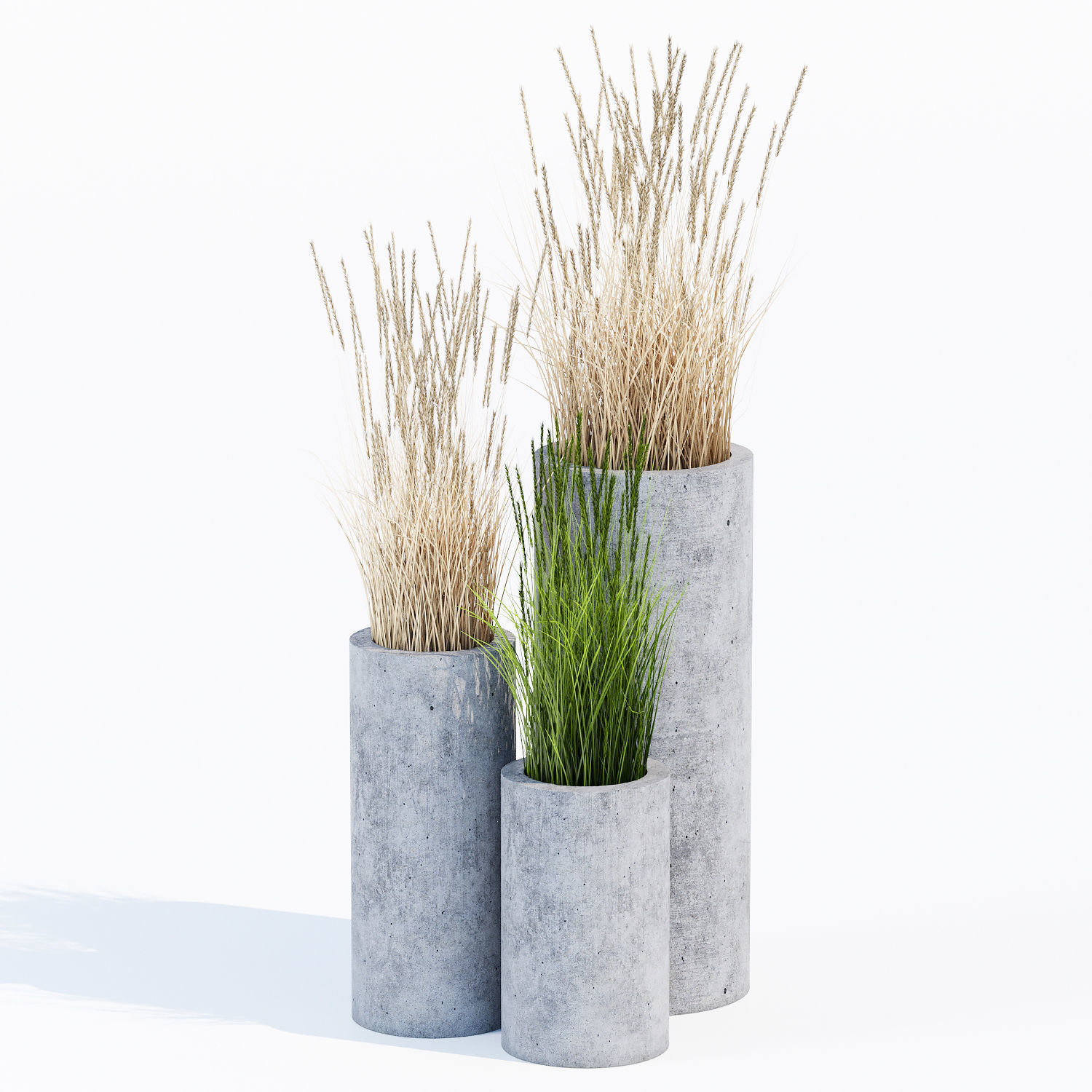 mone four 3D model_1