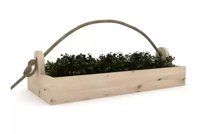 Greens wooden planter with rope handle