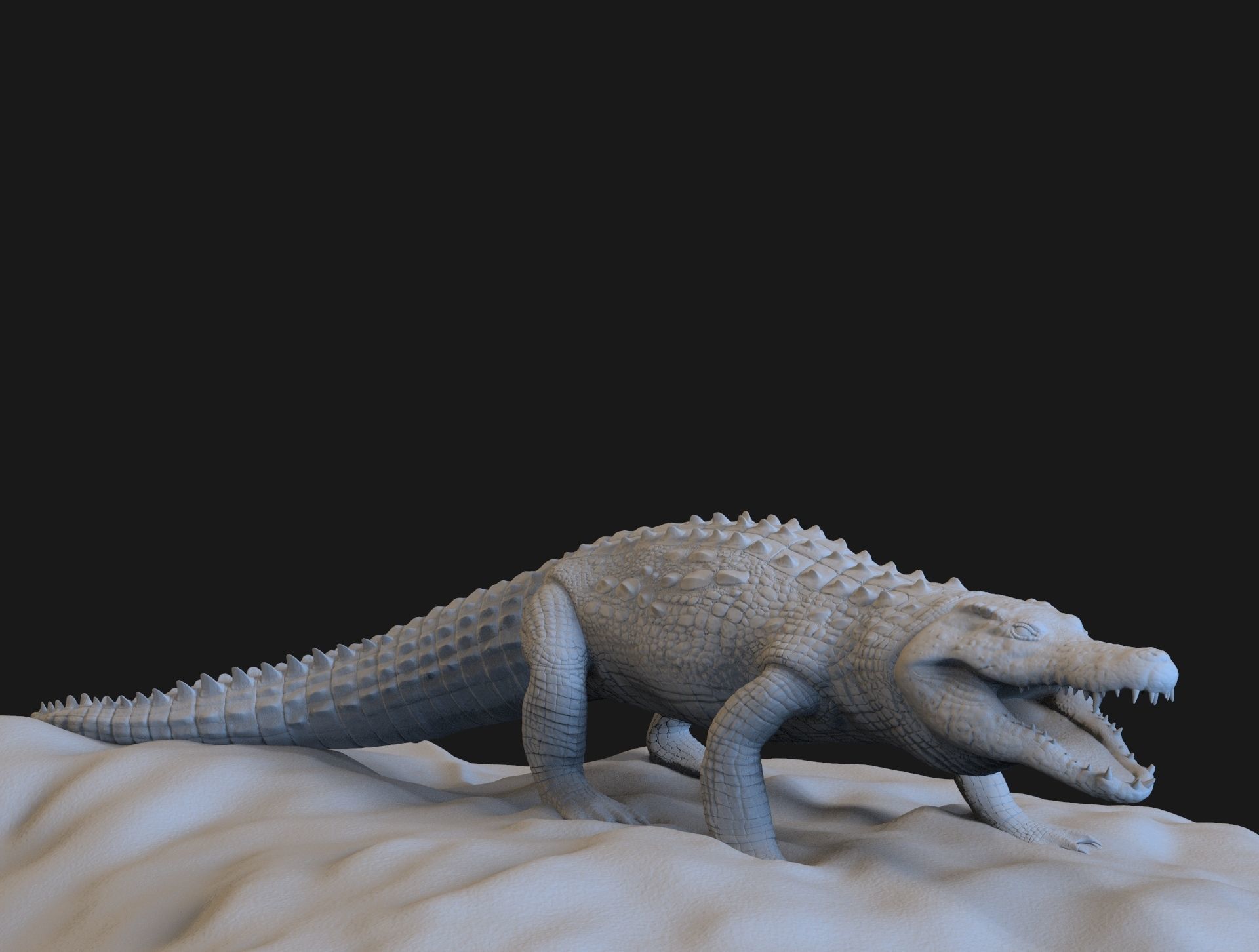 Crocodile 3D model_3