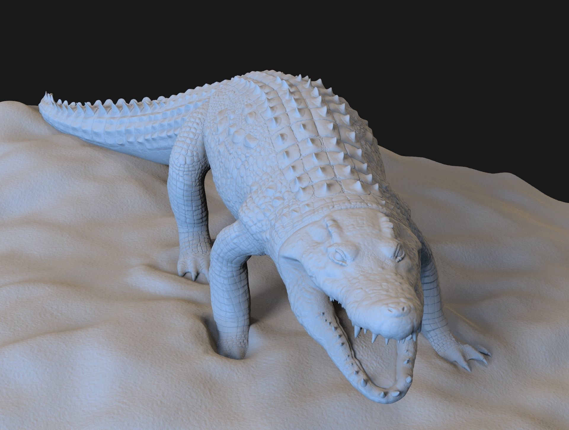 Crocodile 3D model_5