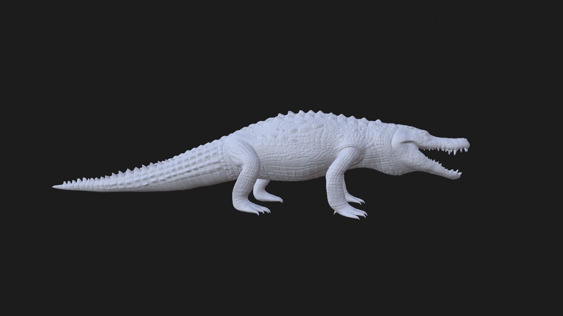 Crocodile 3D model_9
