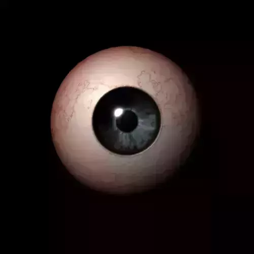 3-D model of eye 