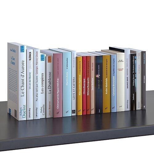 Books Set 11 Digest  3D model