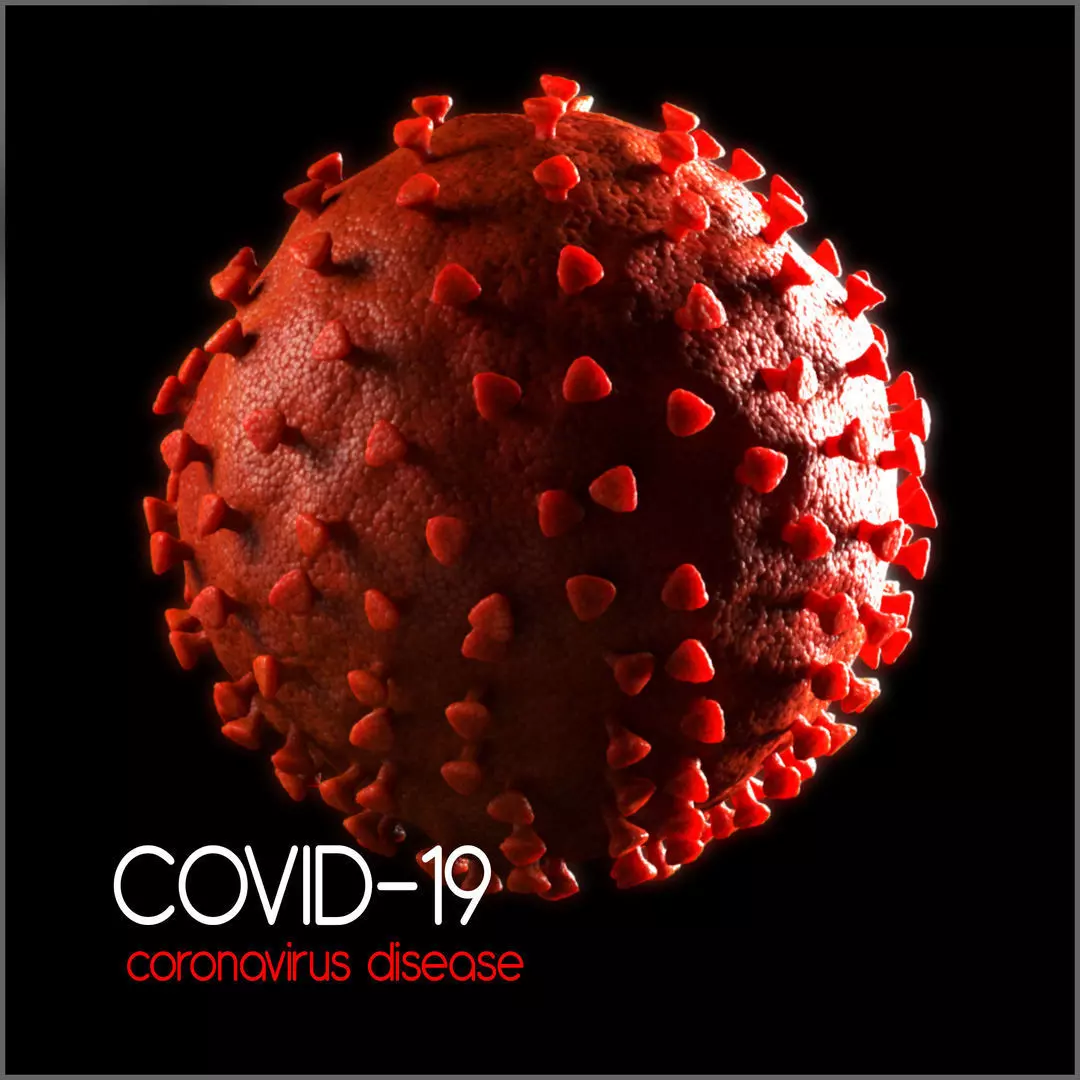 Covid-19 Coronavirus Free 3D model