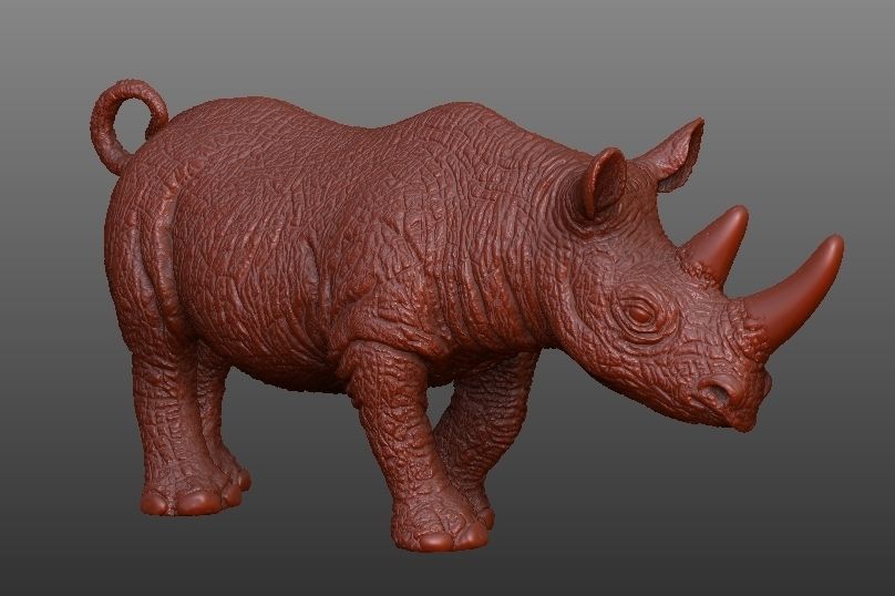 RHINO rhinoceros Low-poly 3D model_7