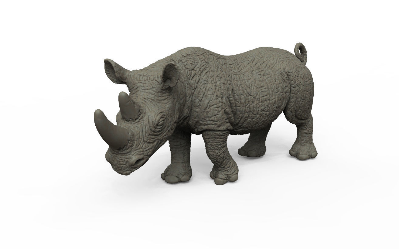 RHINO rhinoceros Low-poly 3D model_1