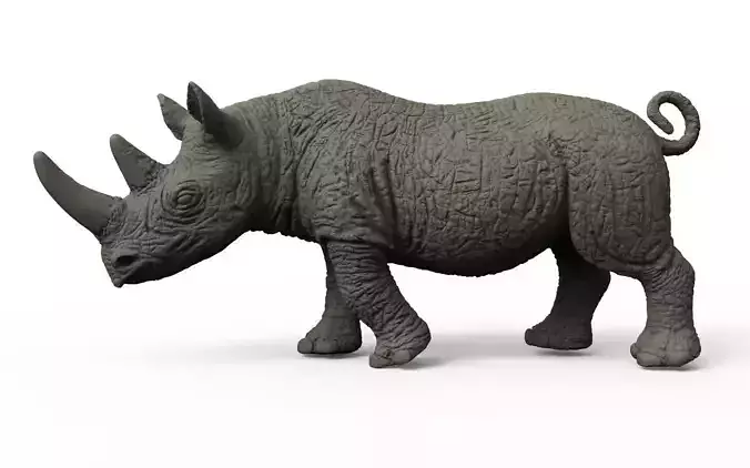 RHINO rhinoceros