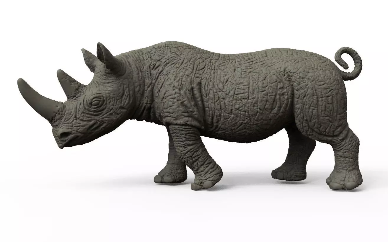 RHINO rhinoceros Low-poly 3D model_0