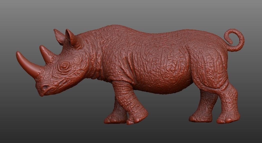 RHINO rhinoceros Low-poly 3D model_6