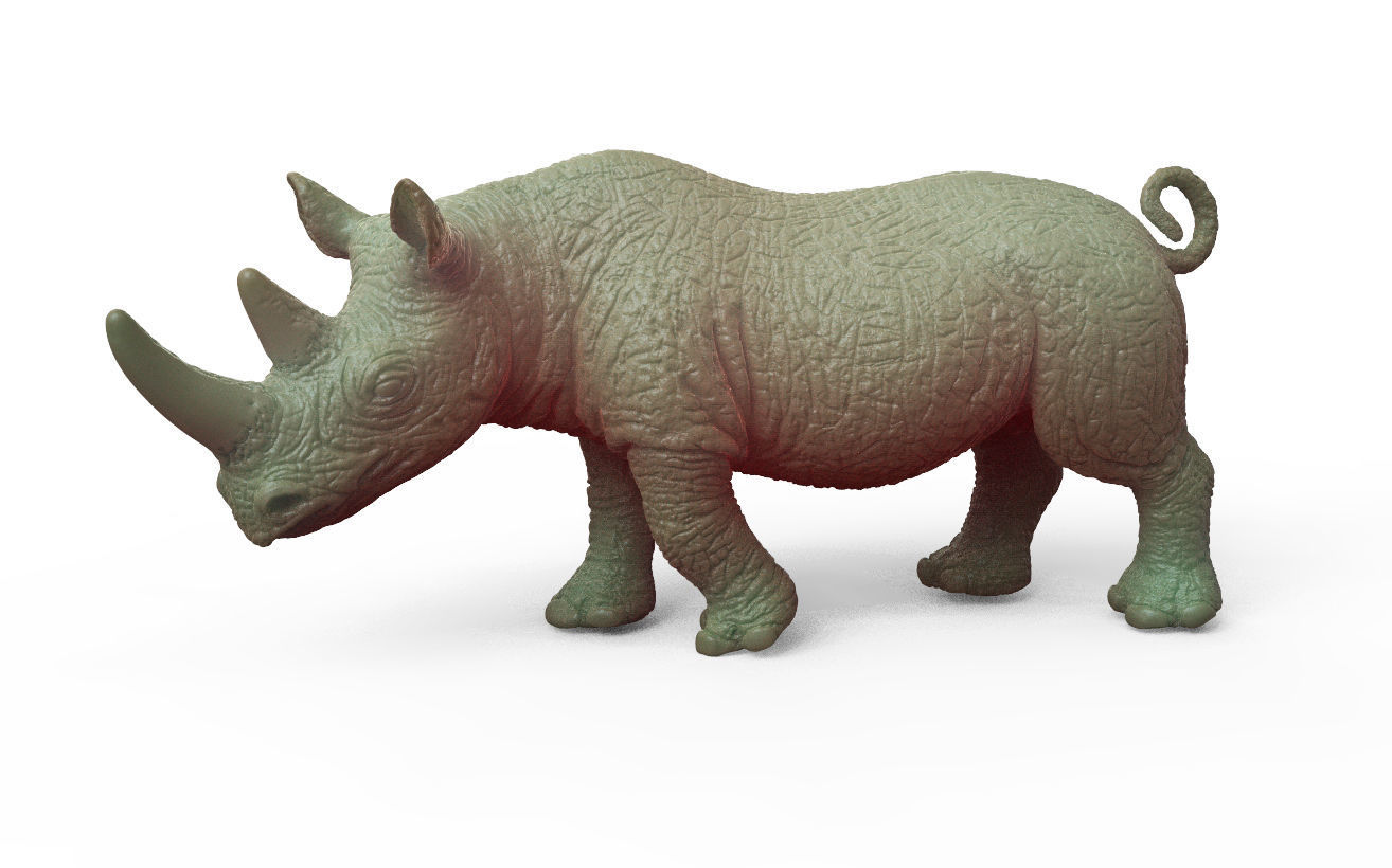 RHINO rhinoceros Low-poly 3D model_5