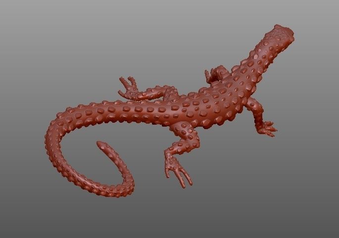 LIZARD golden 3D print model_15
