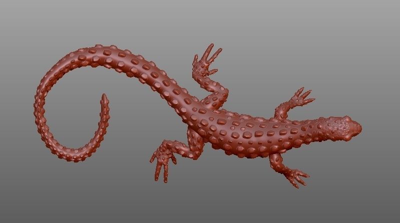 LIZARD golden 3D print model_16