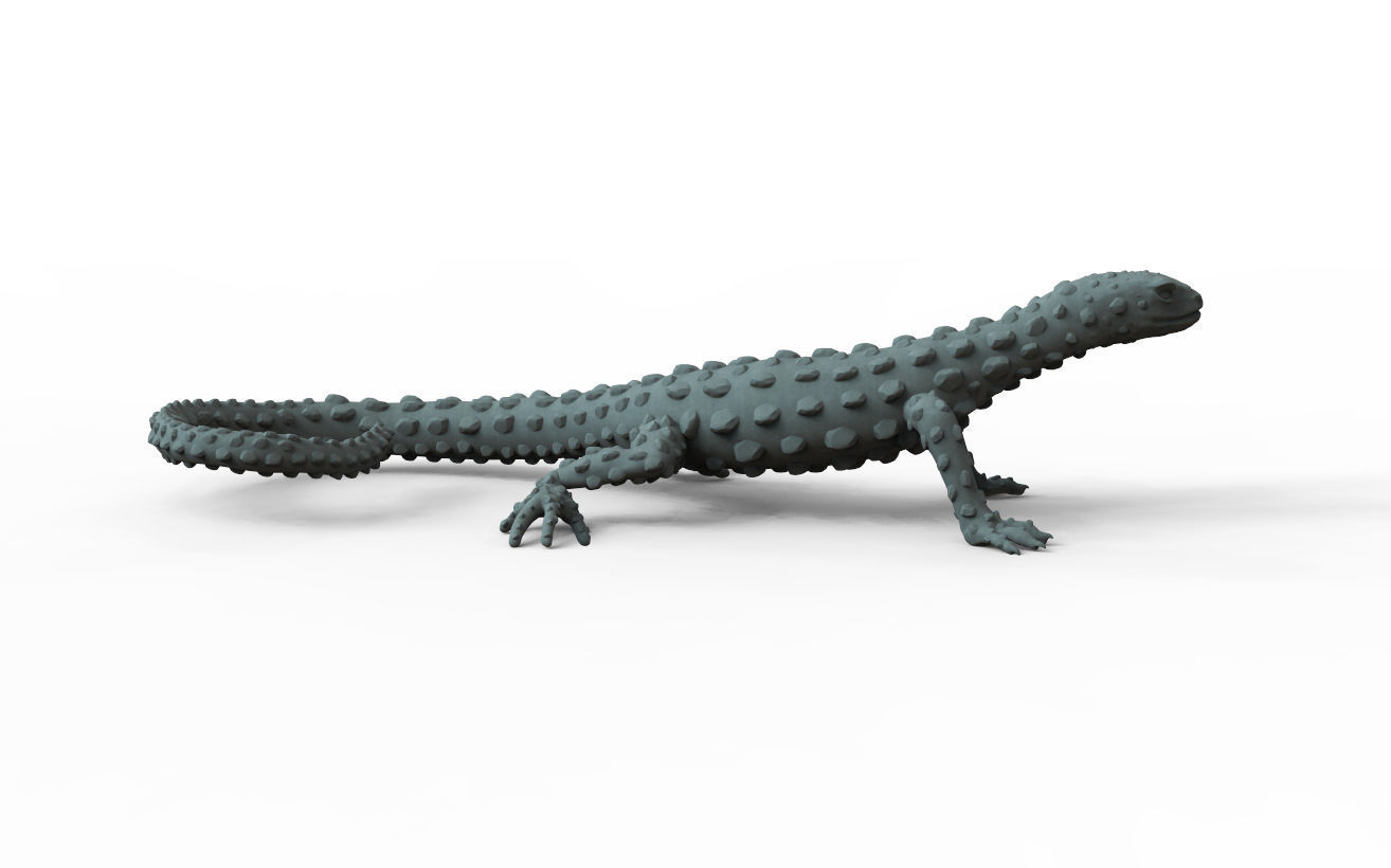 LIZARD golden 3D print model_5