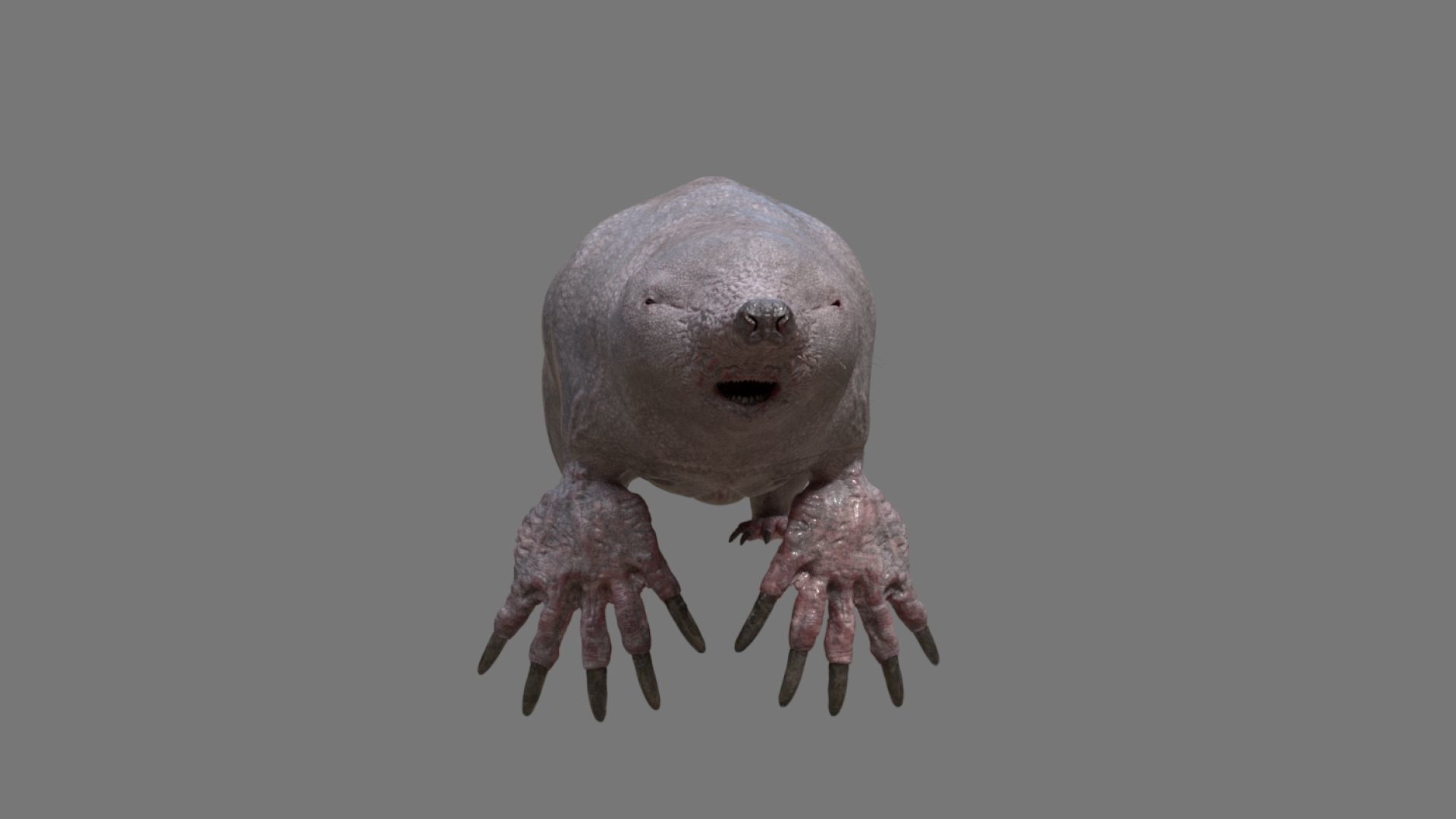 mole skin 3D model_4
