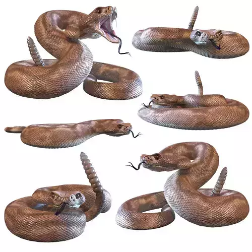 Rattlesnake snake 3D model