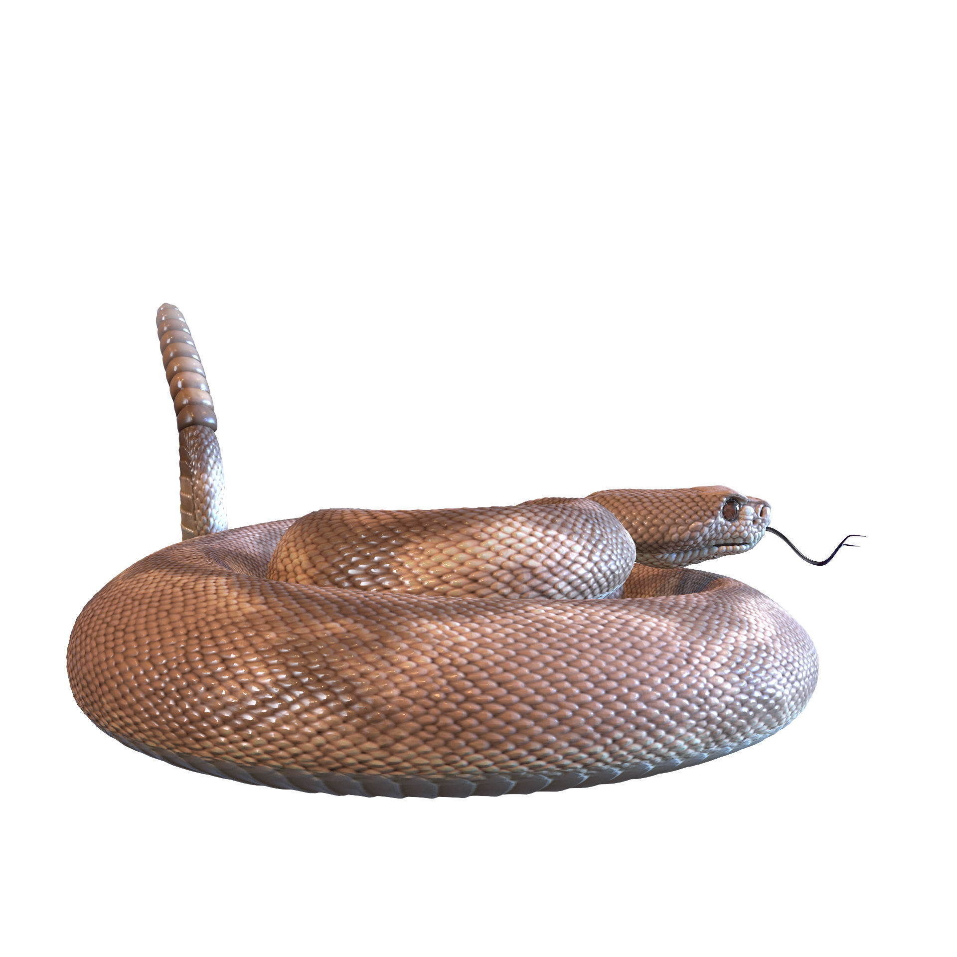 Rattlesnake snake 3D model_45
