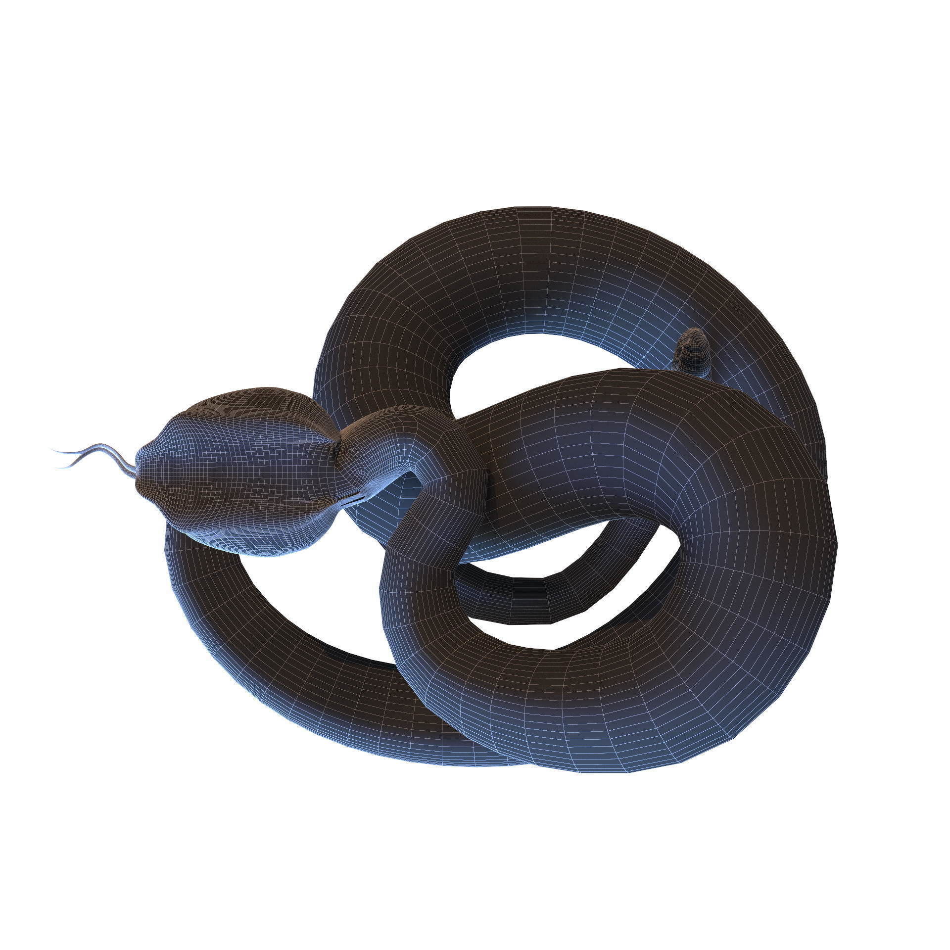 Rattlesnake snake 3D model_25