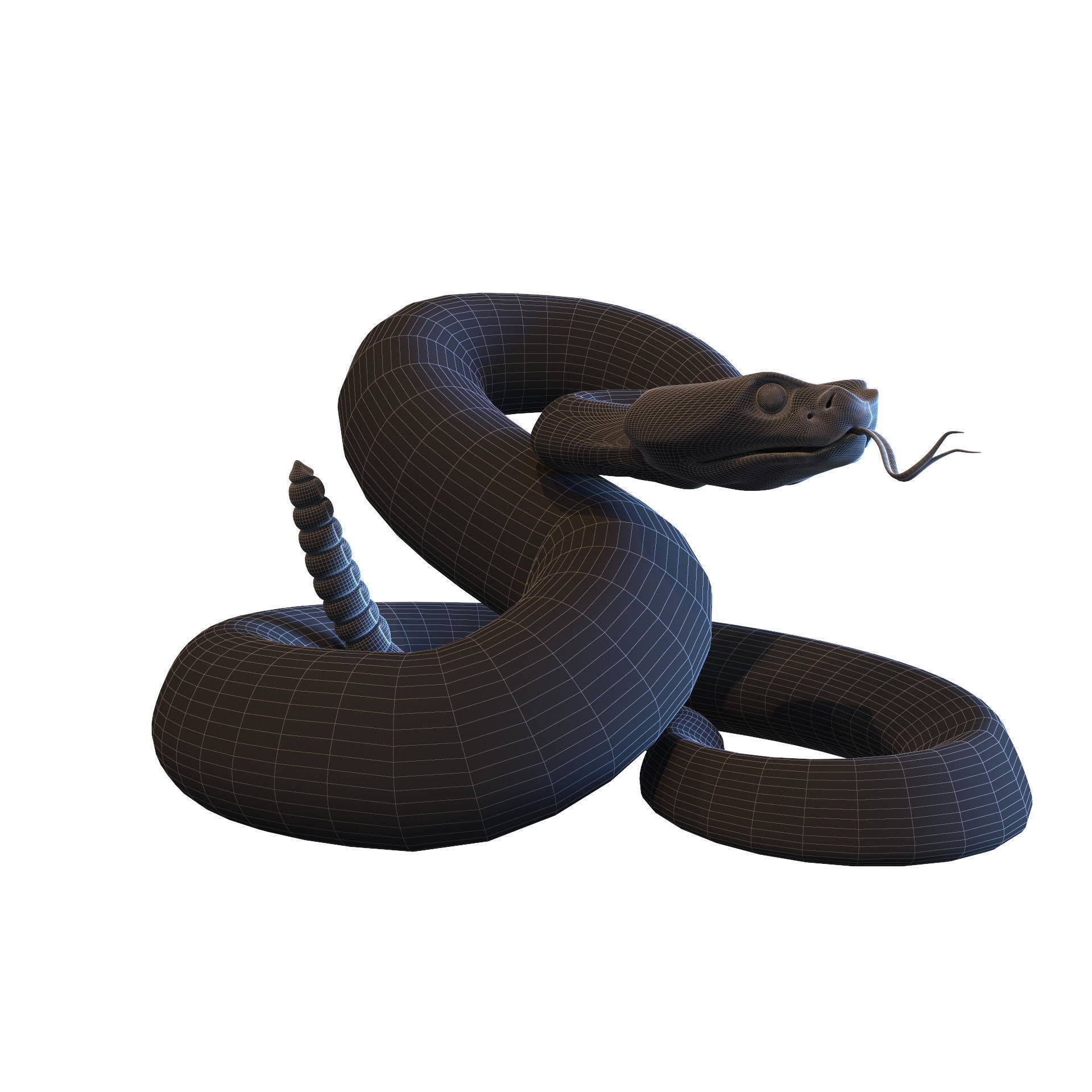 Rattlesnake snake 3D model_24