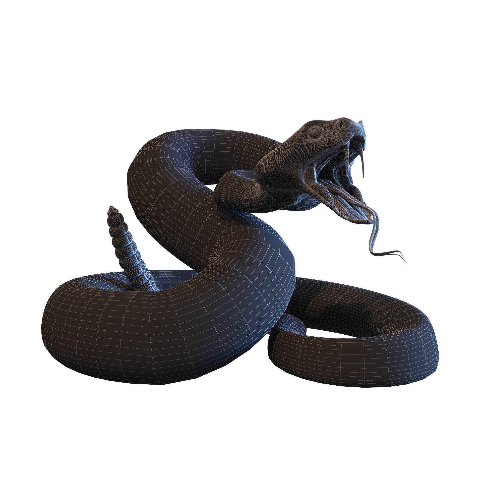 Rattlesnake snake 3D model_8