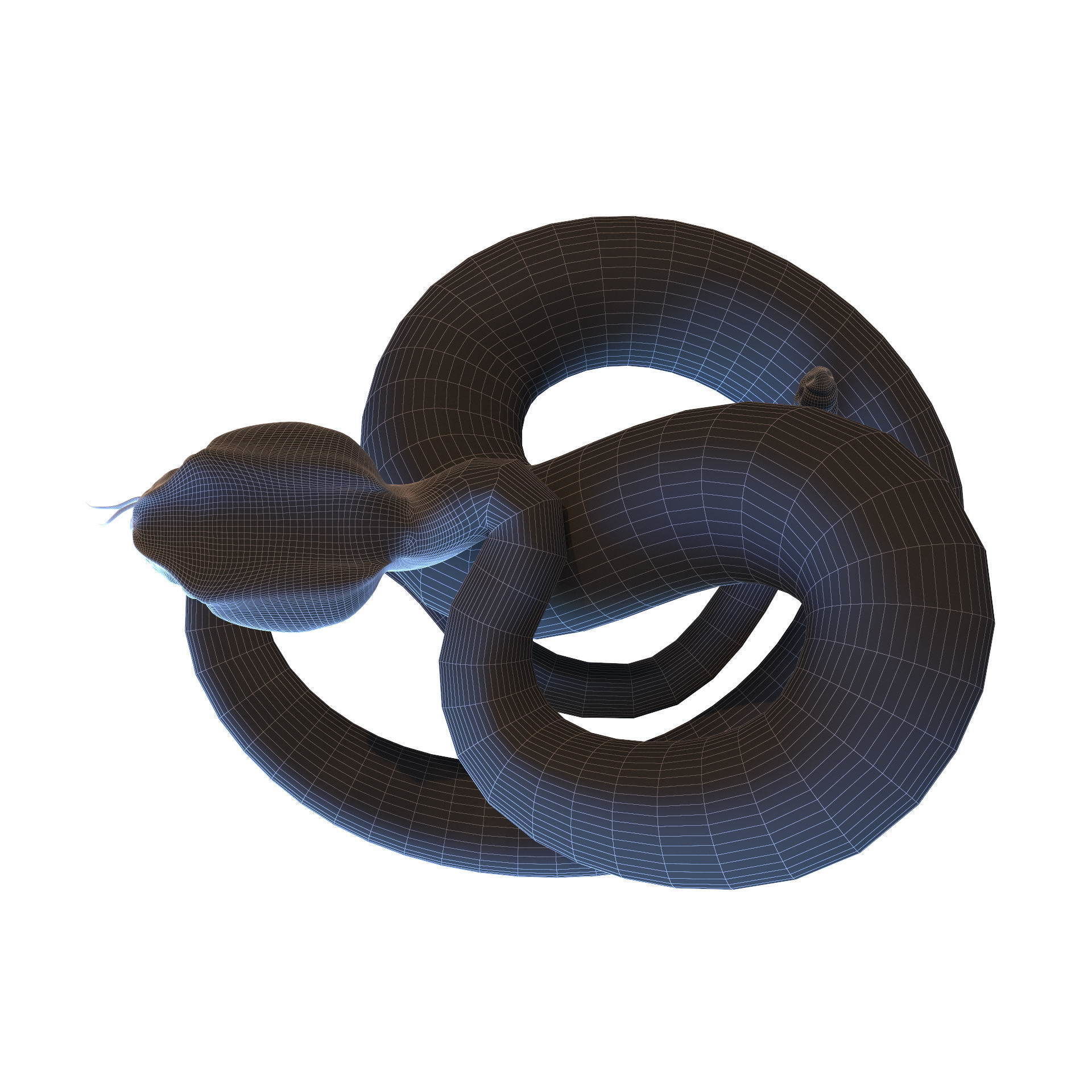 Rattlesnake snake 3D model_9