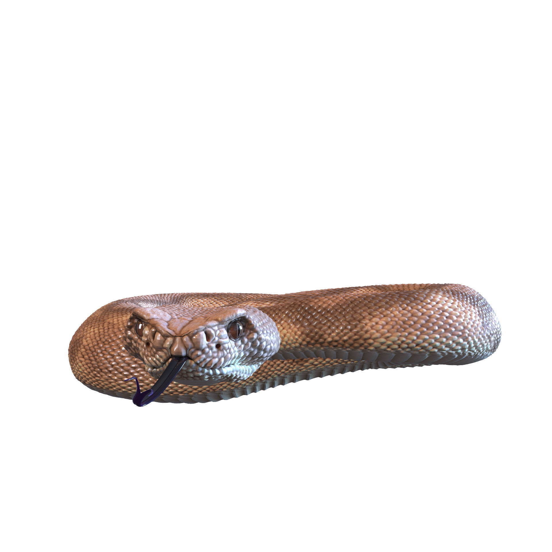 Rattlesnake snake 3D model_35