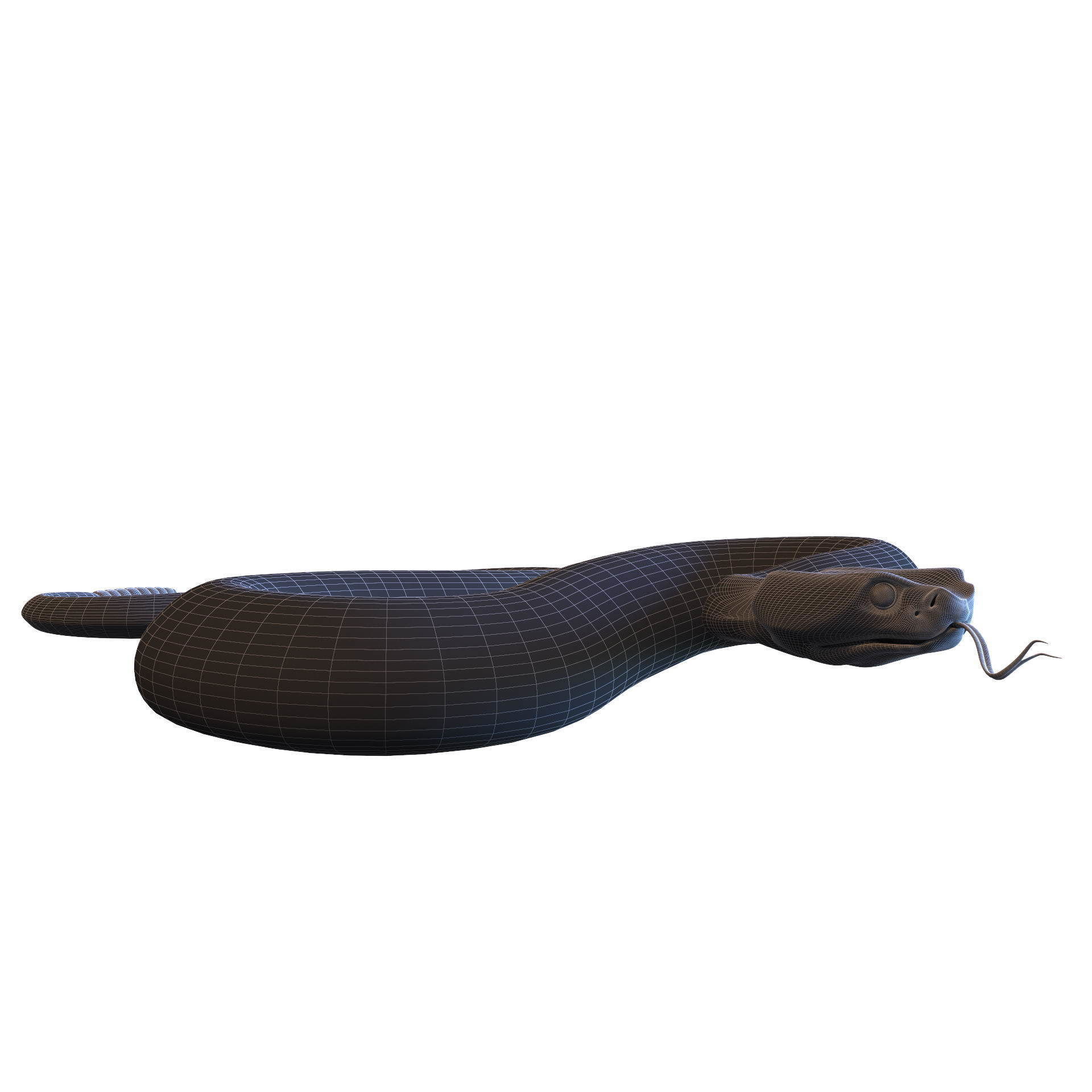 Rattlesnake snake 3D model_40