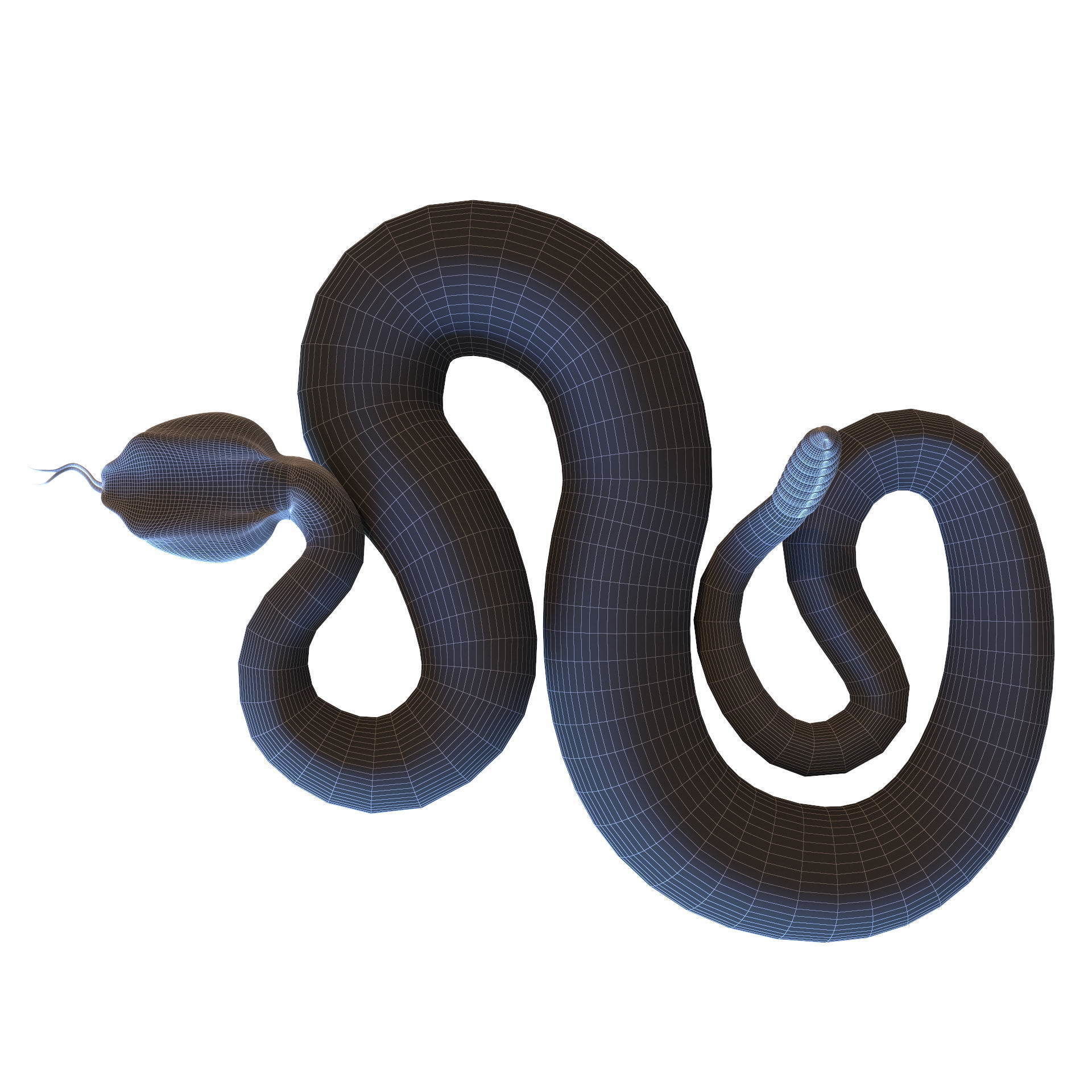 Rattlesnake snake 3D model_33