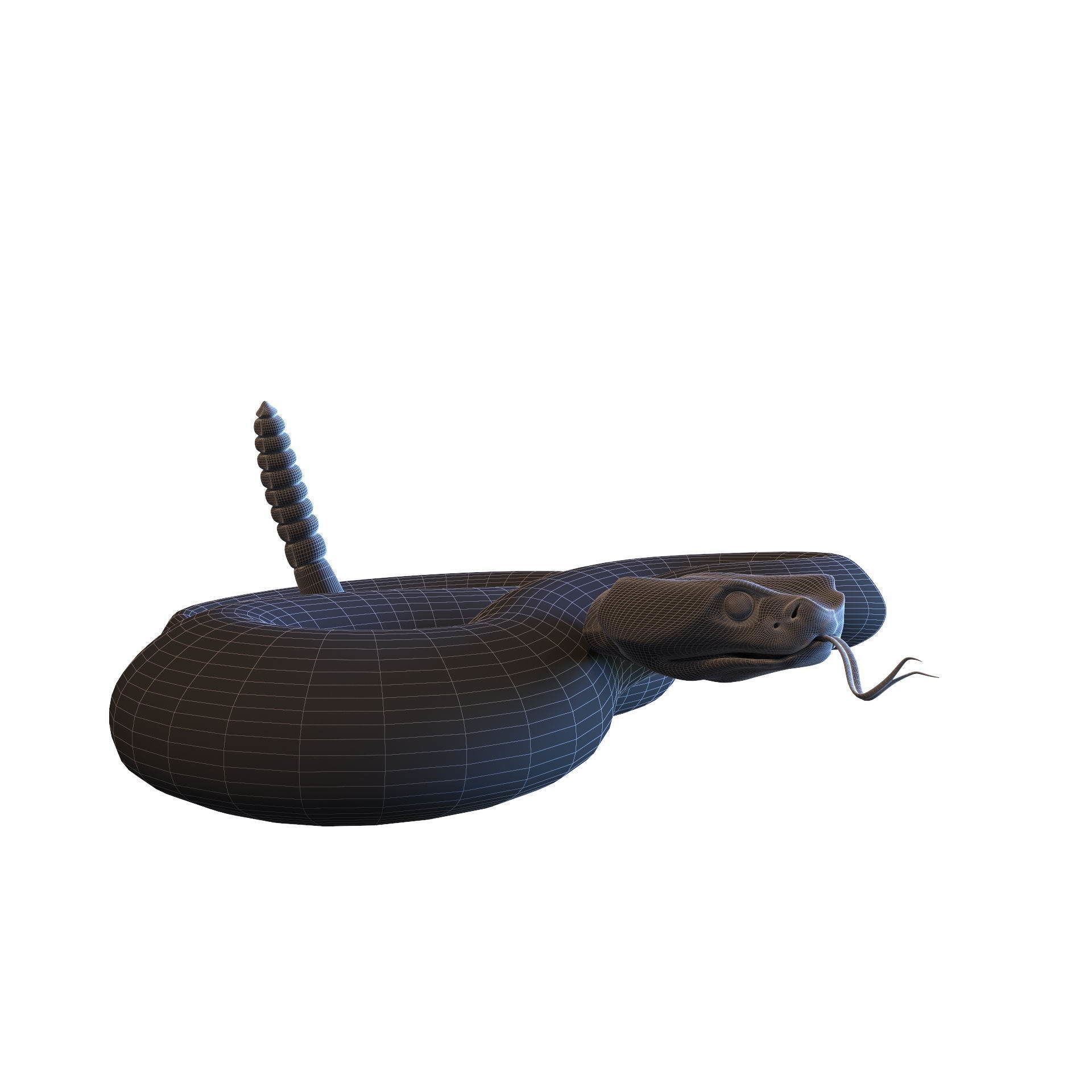Rattlesnake snake 3D model_32