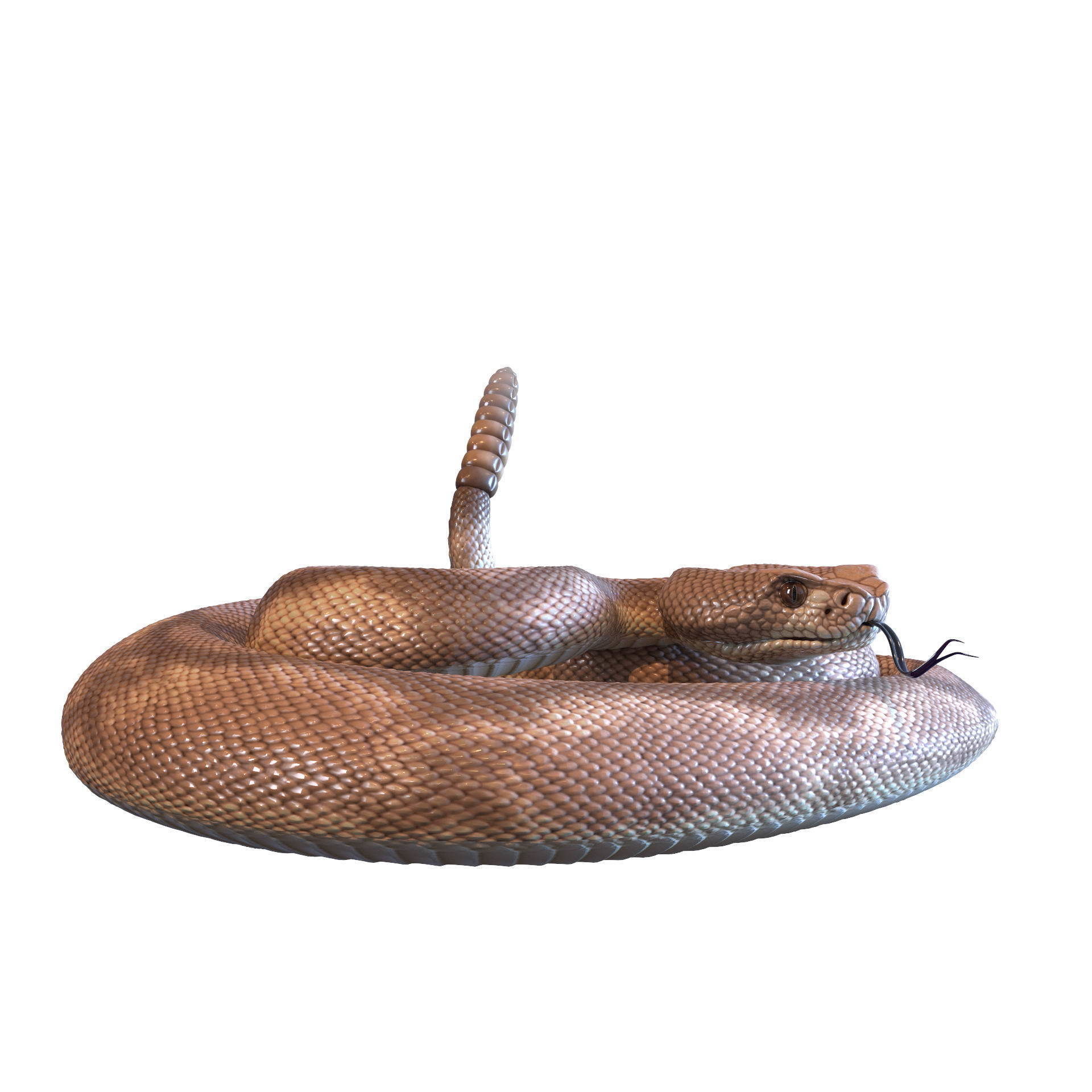 Rattlesnake snake 3D model_42