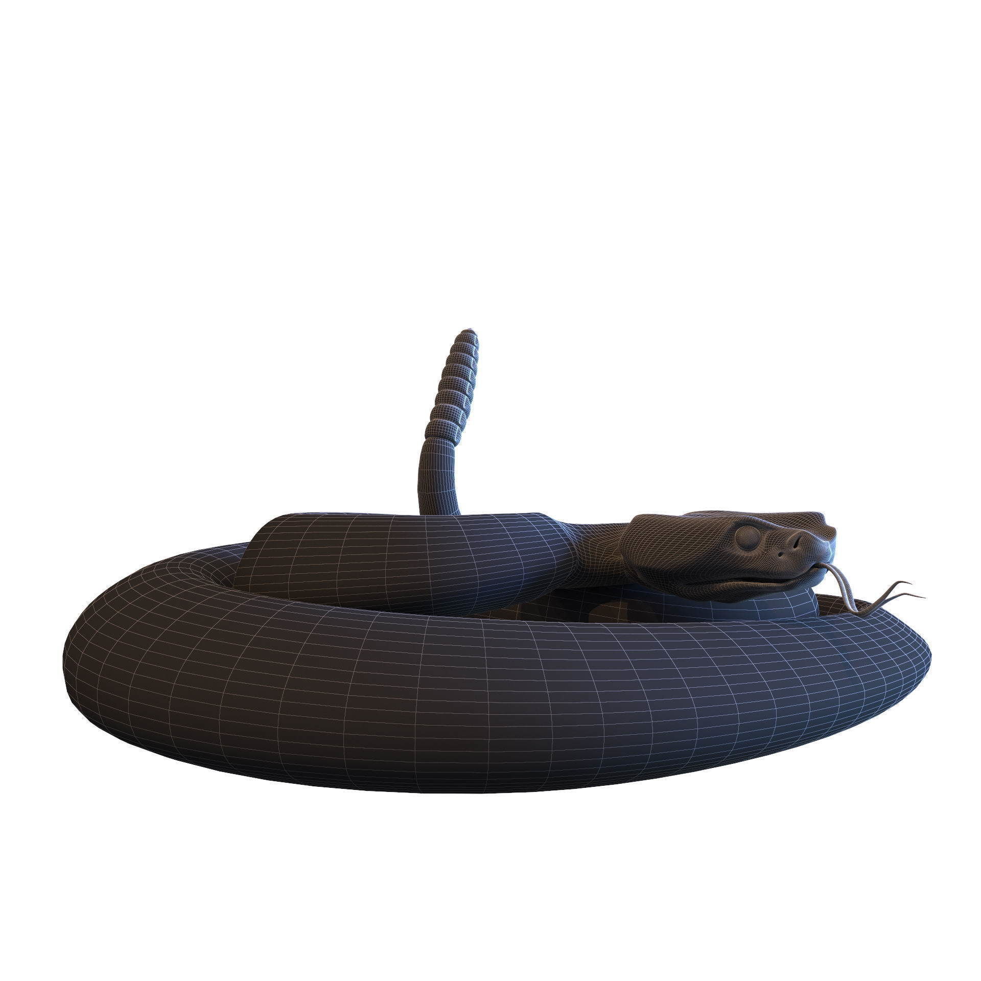 Rattlesnake snake 3D model_48
