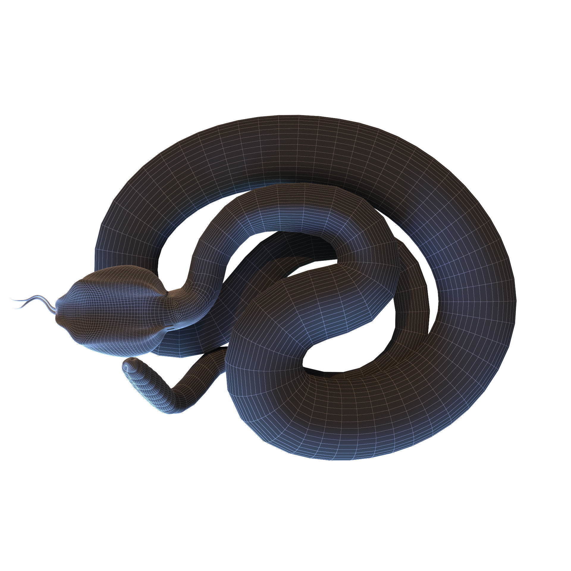Rattlesnake snake 3D model_17