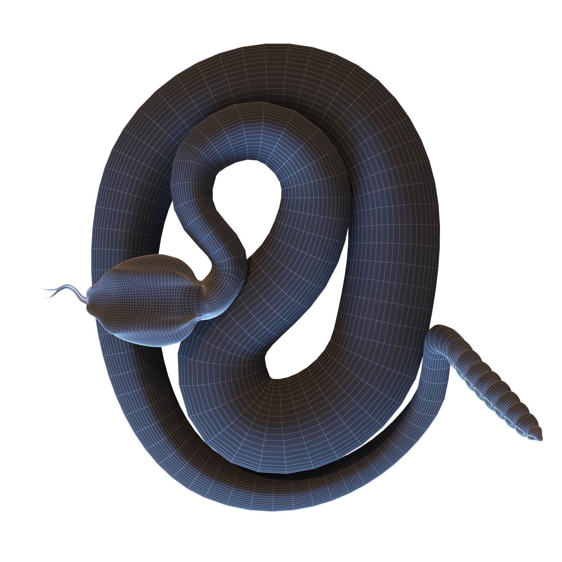 Rattlesnake snake 3D model_49