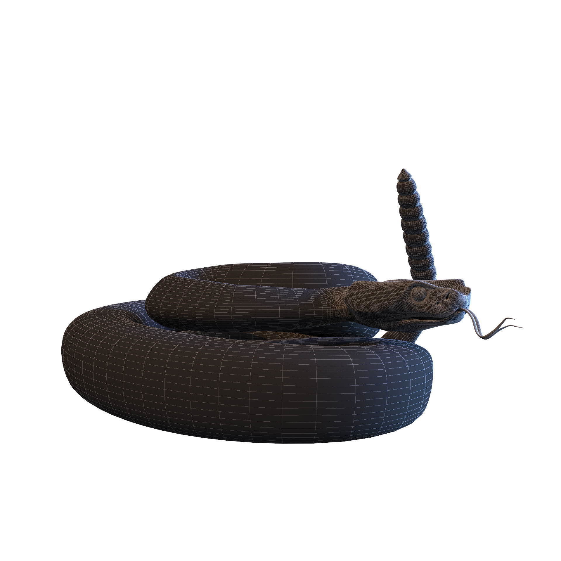 Rattlesnake snake 3D model_16