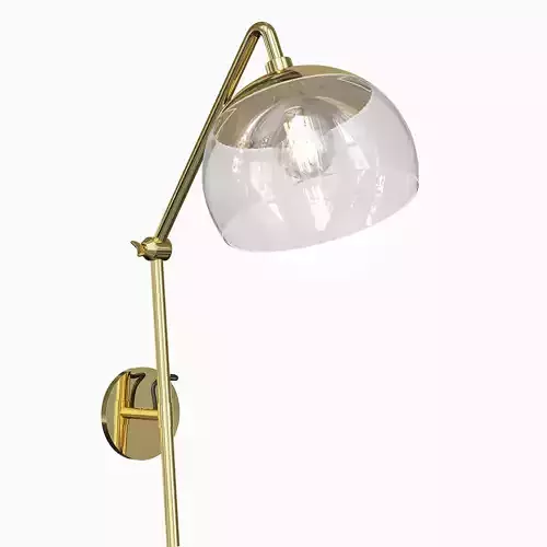 Emotional brass wall lamp with clear glass shade 3D model