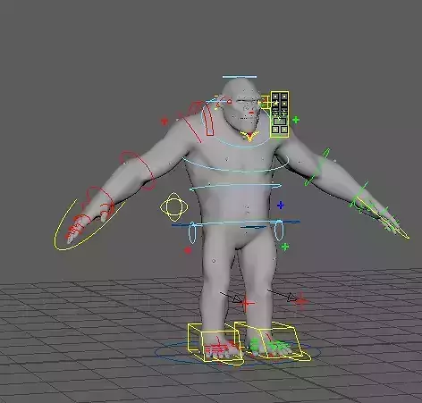 Kong- The African animal