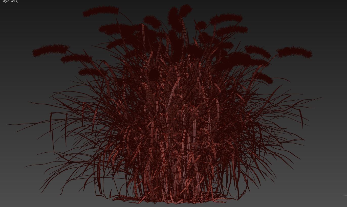 Purple fountain grass 3D model_6