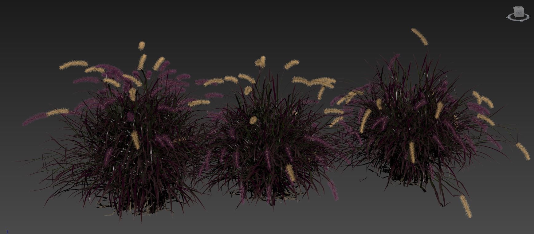 Purple fountain grass 3D model_7