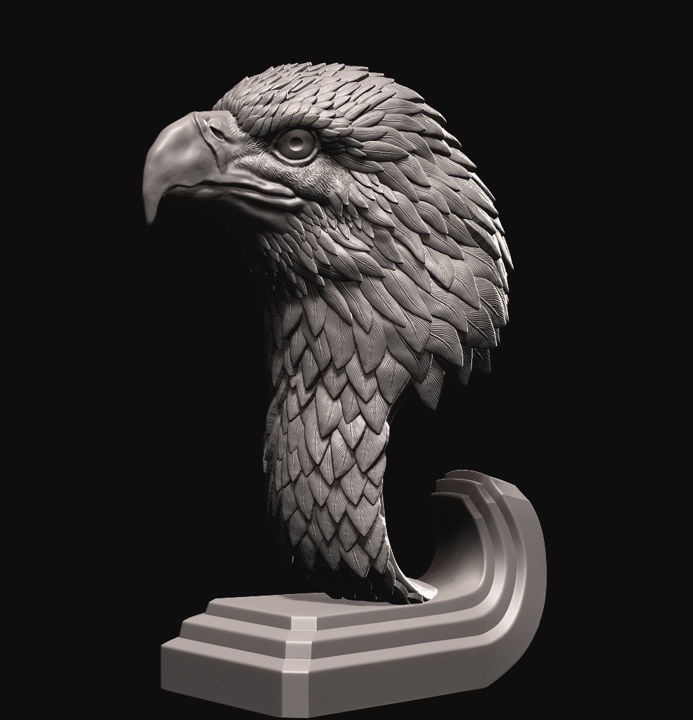 Eagle bust 3D print model_4