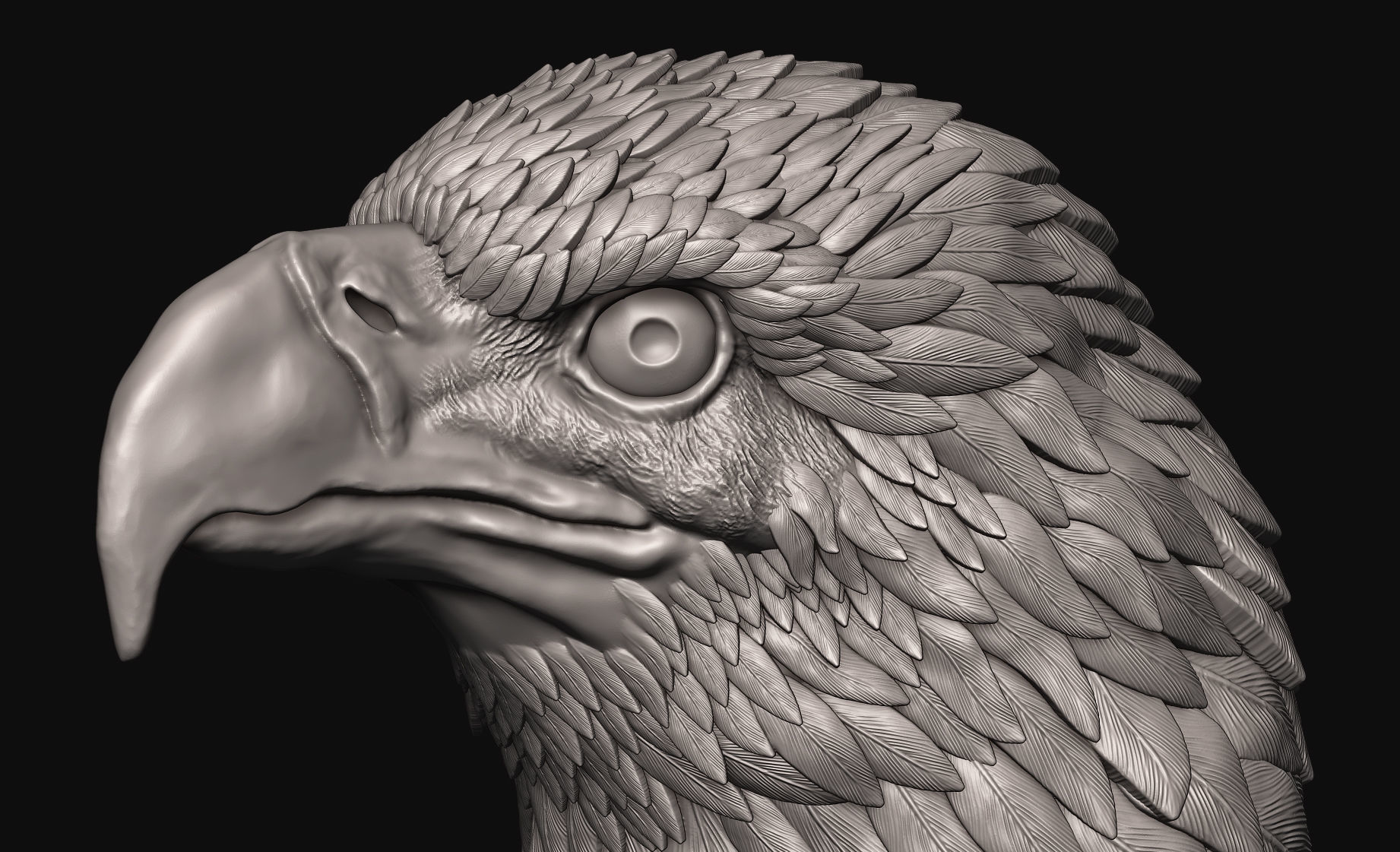 Eagle bust 3D print model_2