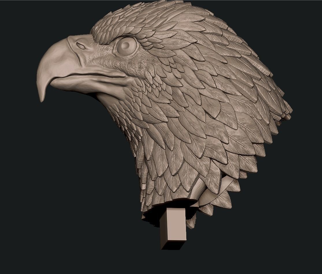 Eagle bust 3D print model_8