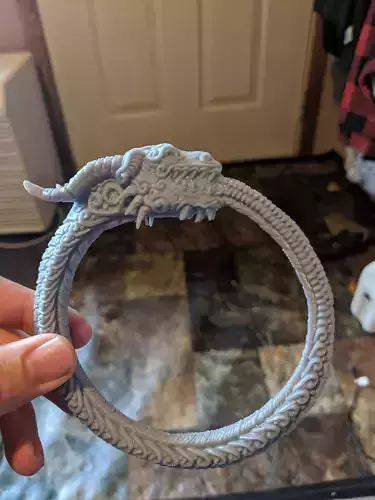 Ouroboros person holding dragon ring