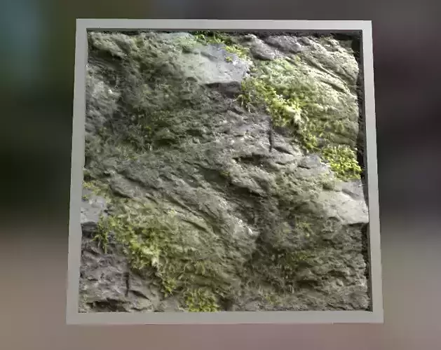 Rock and Foam texture