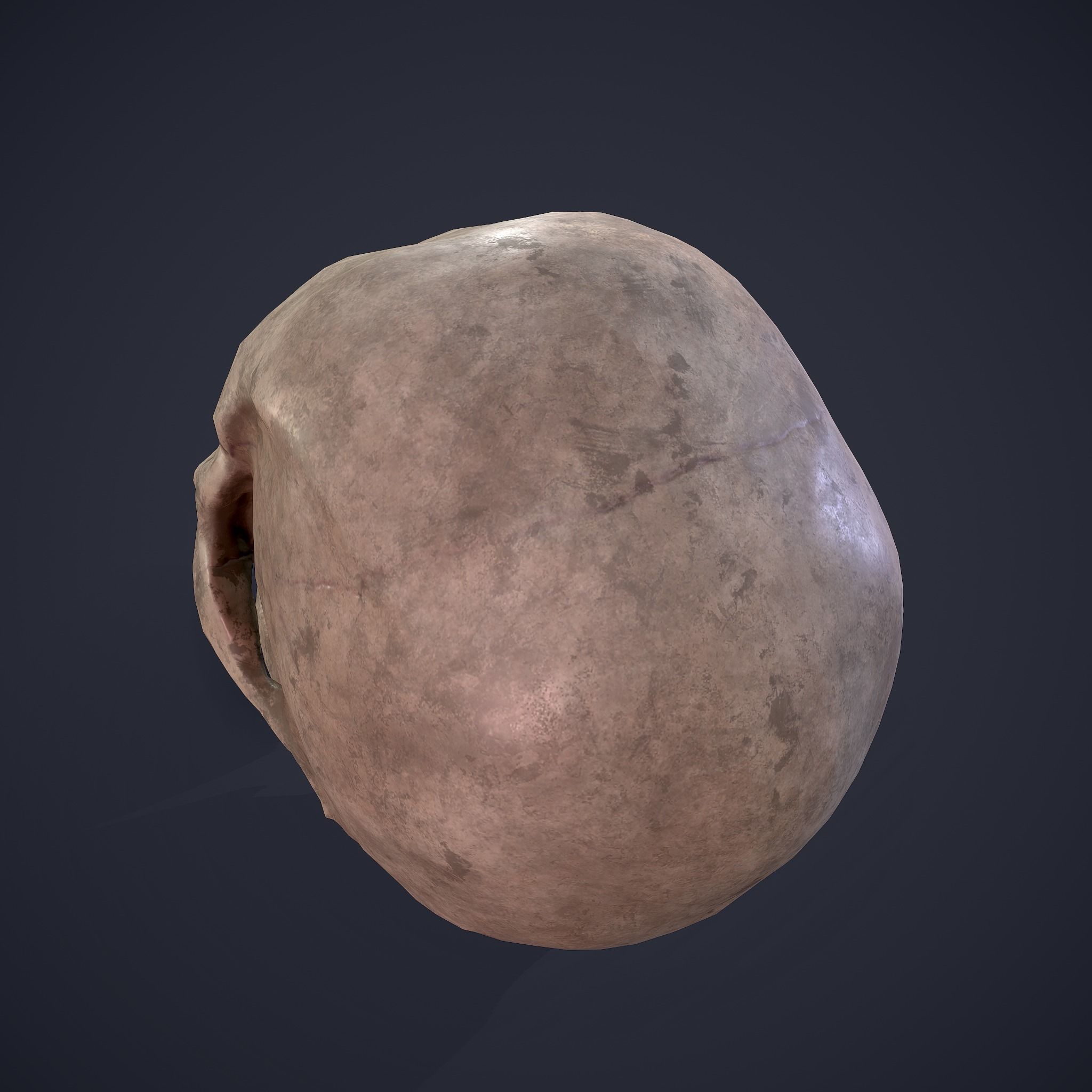 Skull human Free low-poly 3D model_18