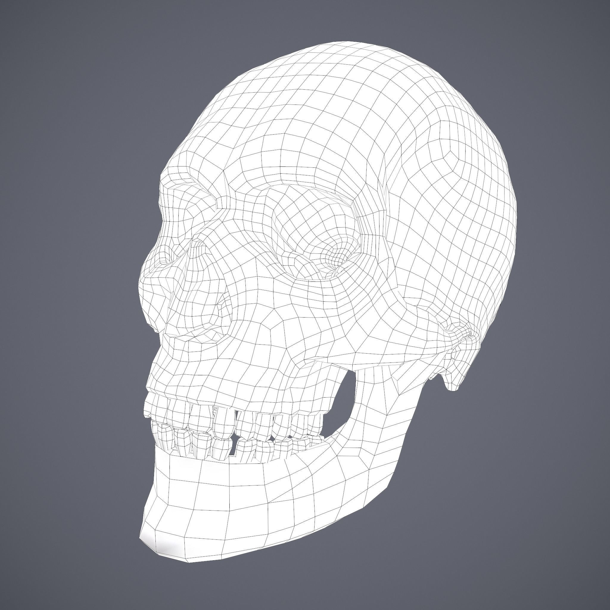 Skull human Free low-poly 3D model_42