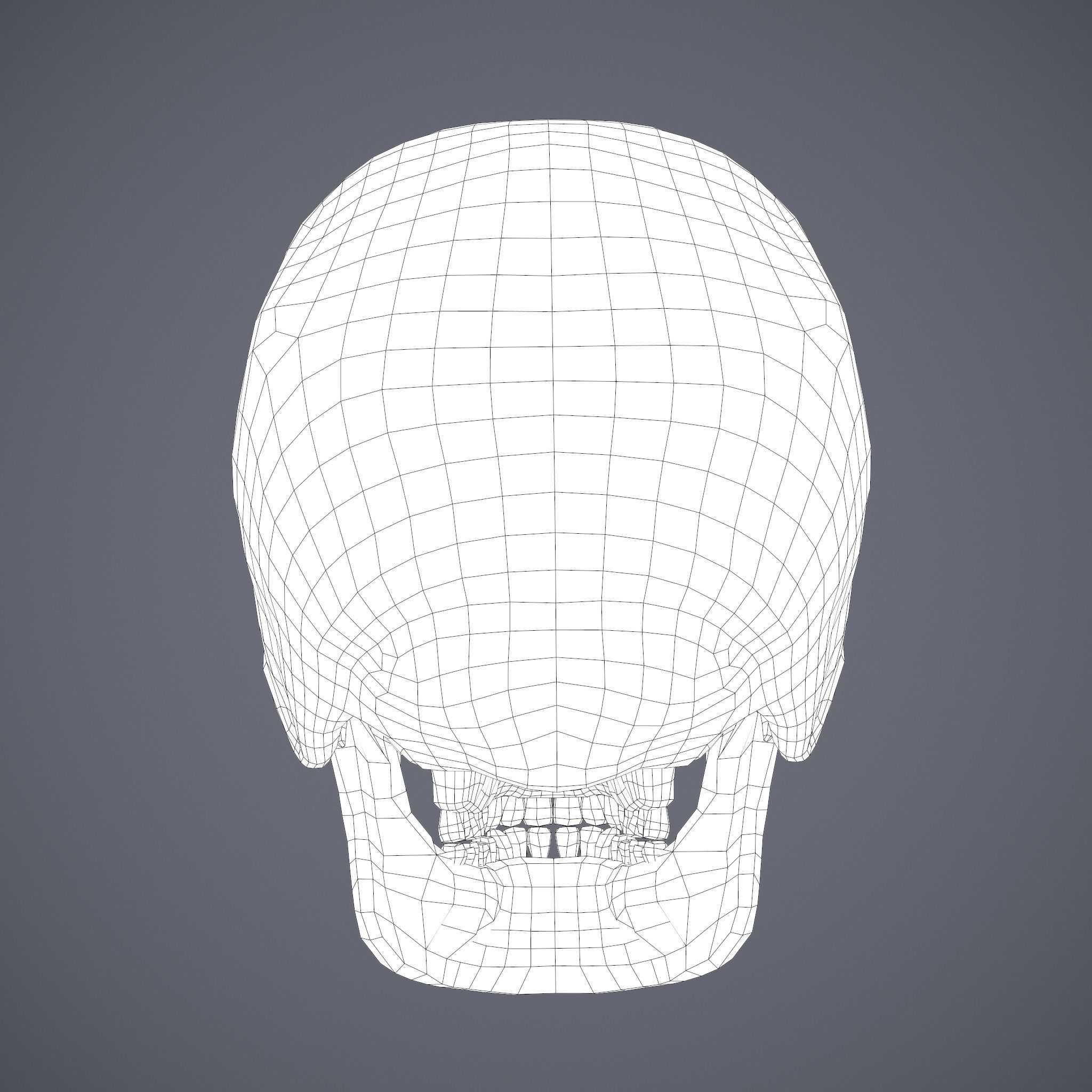 Skull human Free low-poly 3D model_49