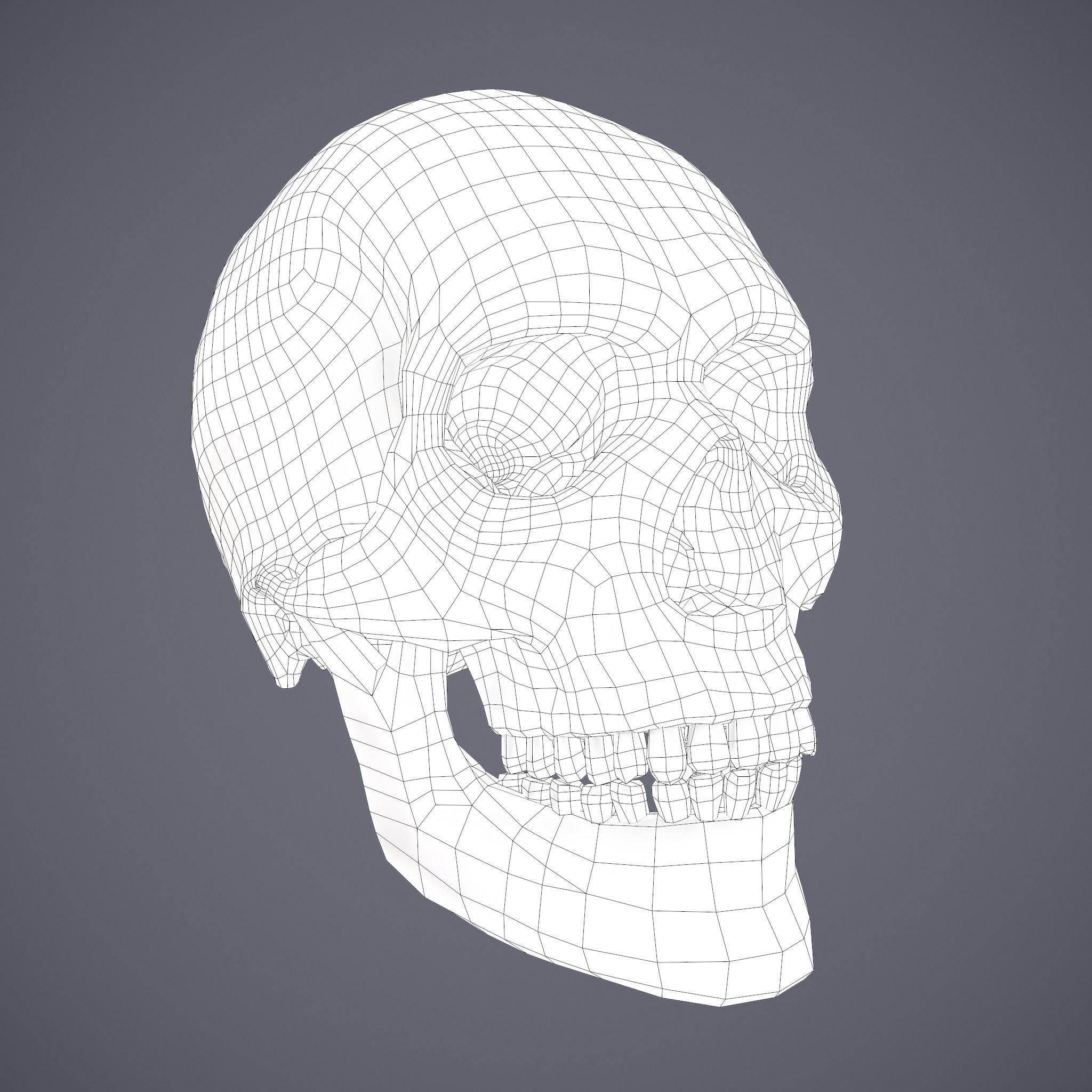 Skull human Free low-poly 3D model_34